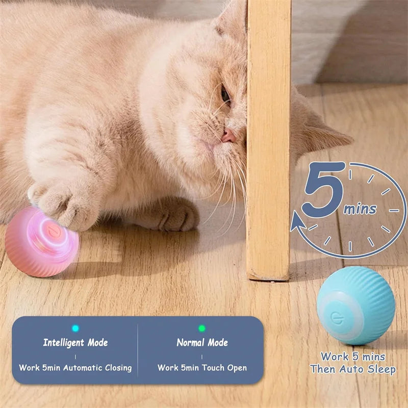 Electronic Interactive Pet Toy Moving Ball