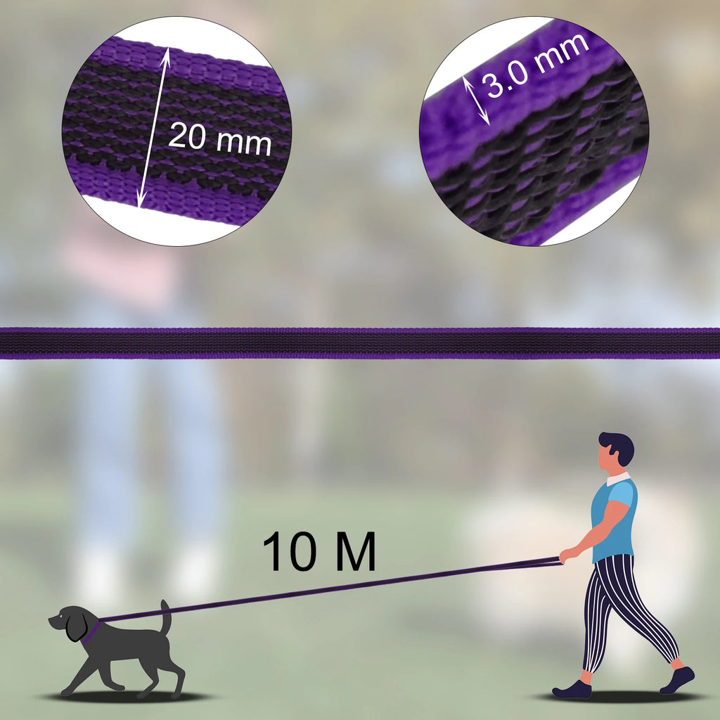 Dog Leash Latex Silk