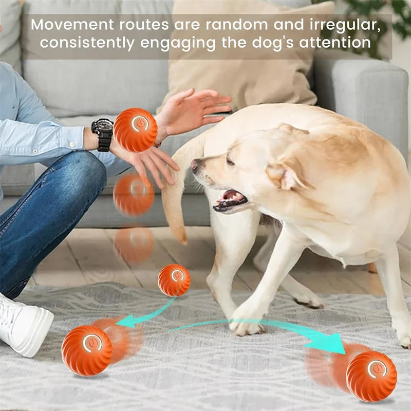 Electronic Interactive Pet Toy Moving Ball