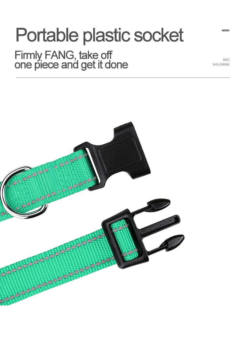 Dog Neck Collars