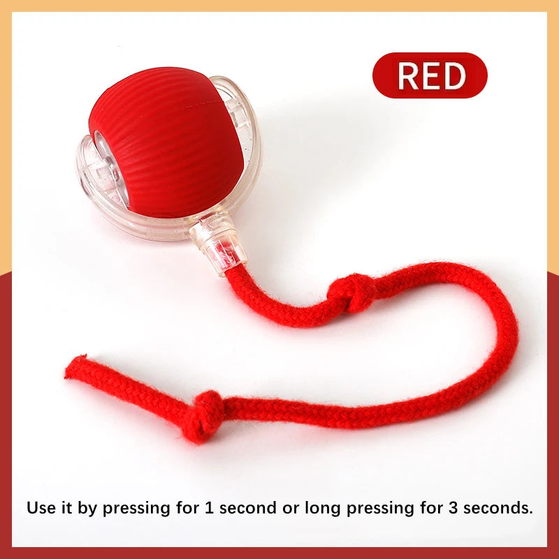Electronic Interactive Pet Toy Moving Ball